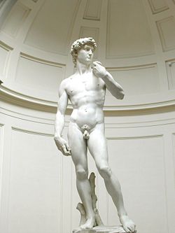 Il David di Michelangelo, il miglior esempio di proporzione corporea